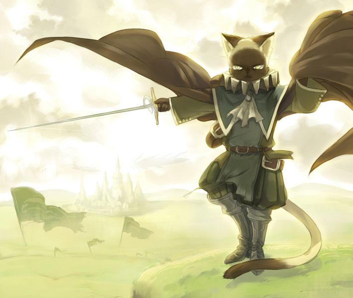 File:Cat fencer.jpg