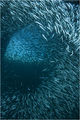 Thumbnail for version as of 09:17, 17 November 2010